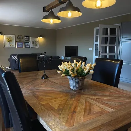 Mirko Apartament Seget Vranjica