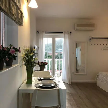 Mirko Apartament